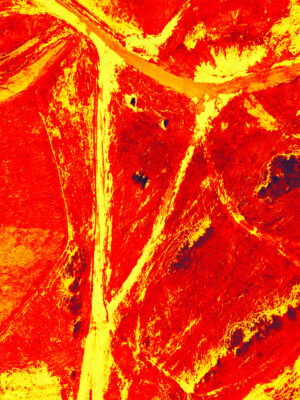 DJI_0352_Despojado Despojado