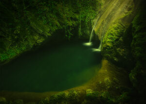 Echoes Of Paradise