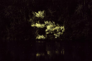 Perfusus Luce