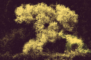 Proskynesis