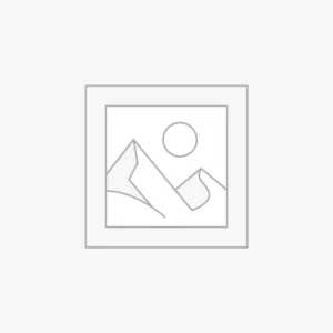 Rhoncus aenean velelit scelerisque mauris